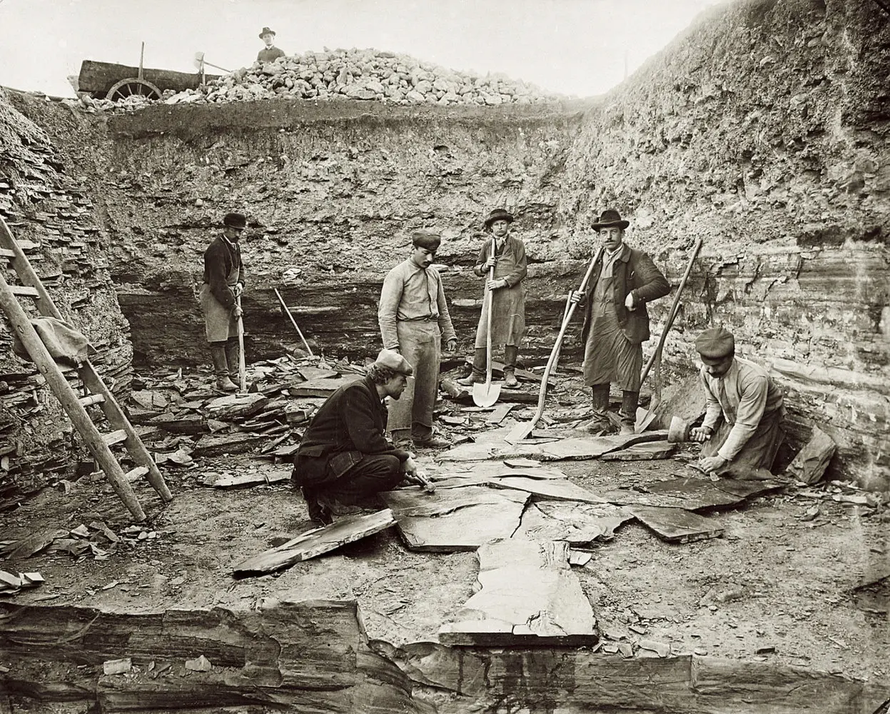 Holzmaden_Fossil_Recovery