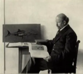 Holzmaden_Hauff_Ichthyosaur