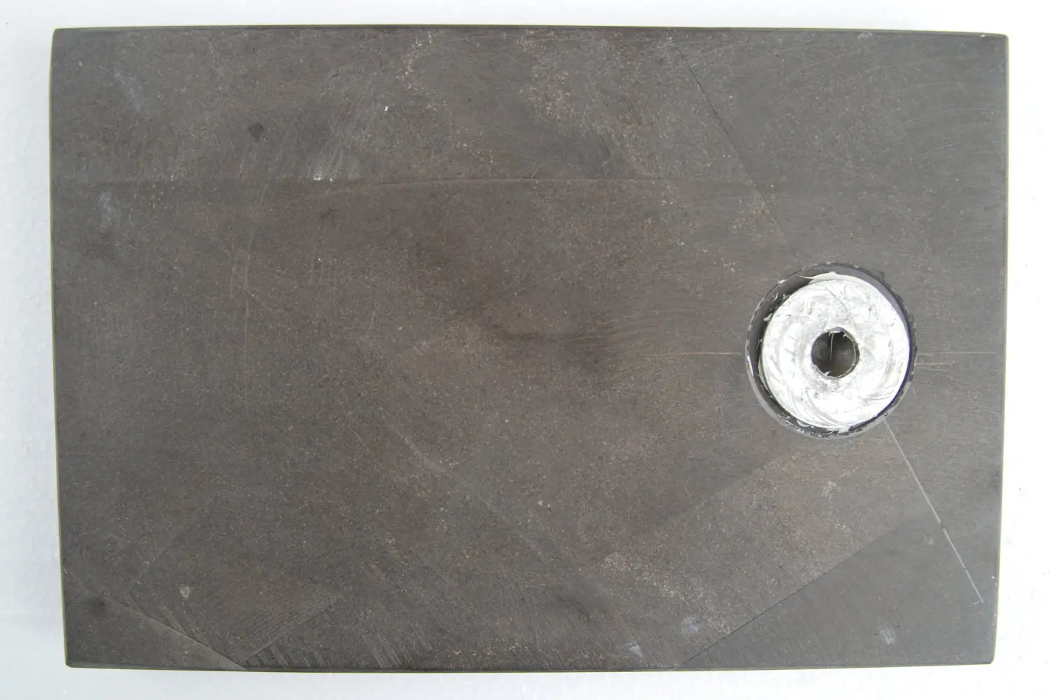 Pentacrinus briareus_Holzmaden_02d