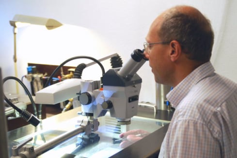 Blick in die Holzmaden Fossilien Präparationswerkstatt