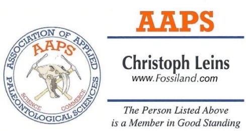 Logo AAPS steht für: Holzmaden Fossilien Verkaufen ist Vertrauenssache