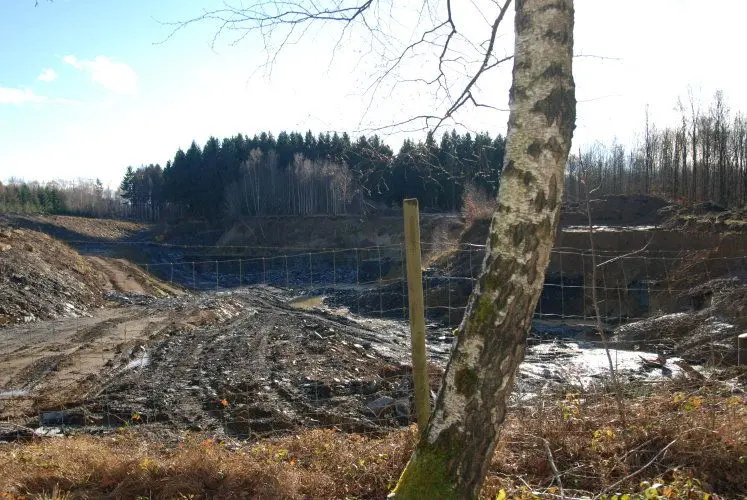 Holzmaden_Quarry_Fischer