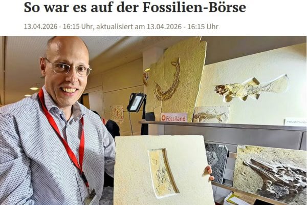 Holzmaden Fossilien Vermittlung