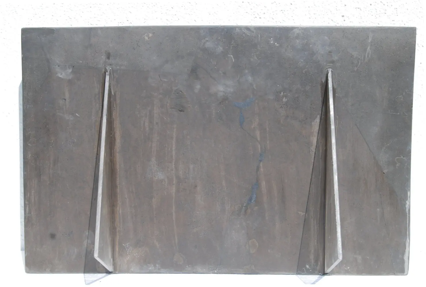 Ichthyosaurus_Holzmaden_04d