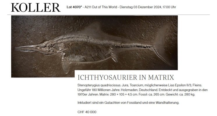 Ichthyosaurier Auktion 180x105cm