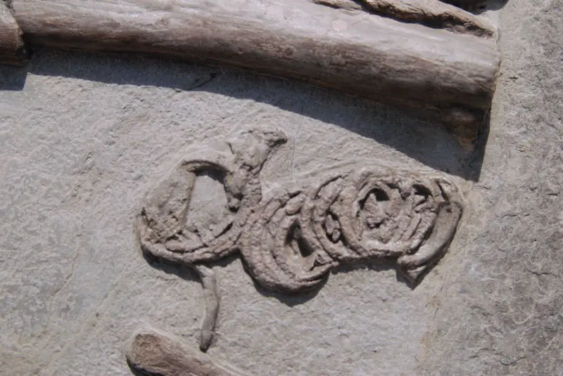 Steneosaurus_Holzmaden_01g